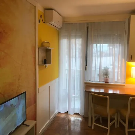 Tina Sajam Free Parking